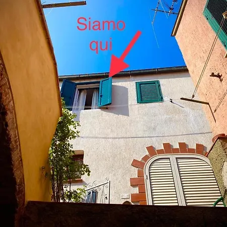 Archi Di - Goelba *