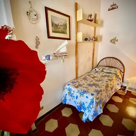 Apartment Archi Di - Goelba